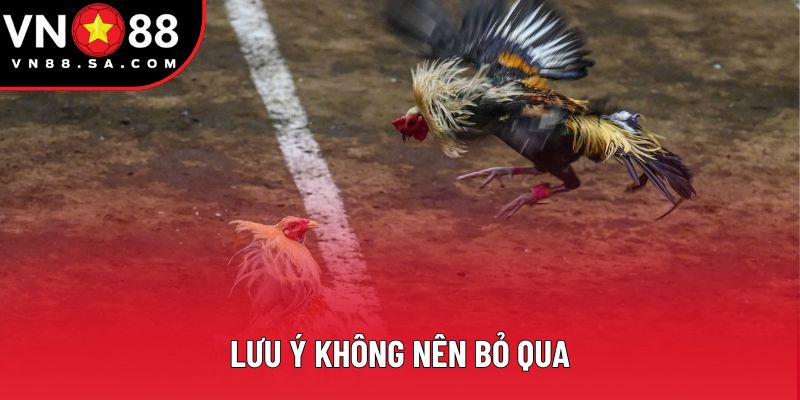 Lưu ý không nên bỏ qua