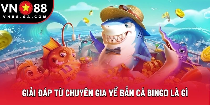 Giải đáp từ chuyên gia về bắn cá Bingo là gì
